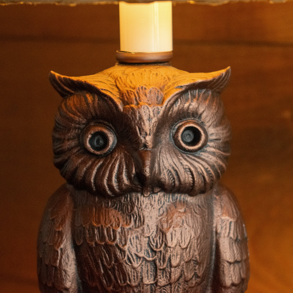 Owl Lamp with Laced Kraft Shade | Rustic Old Bronze Finish Owl
