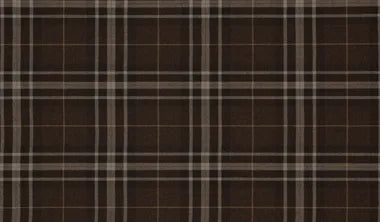 Holden Chair in Derby Plaid