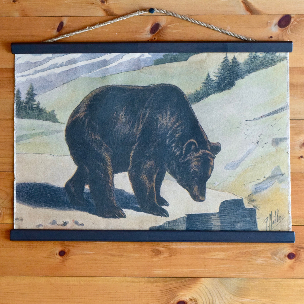 P. Mahler Chromolithograph Black Bear Wall Chart on Mountain Range