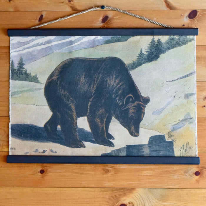 P. Mahler Chromolithograph Black Bear Wall Chart on Mountain Range