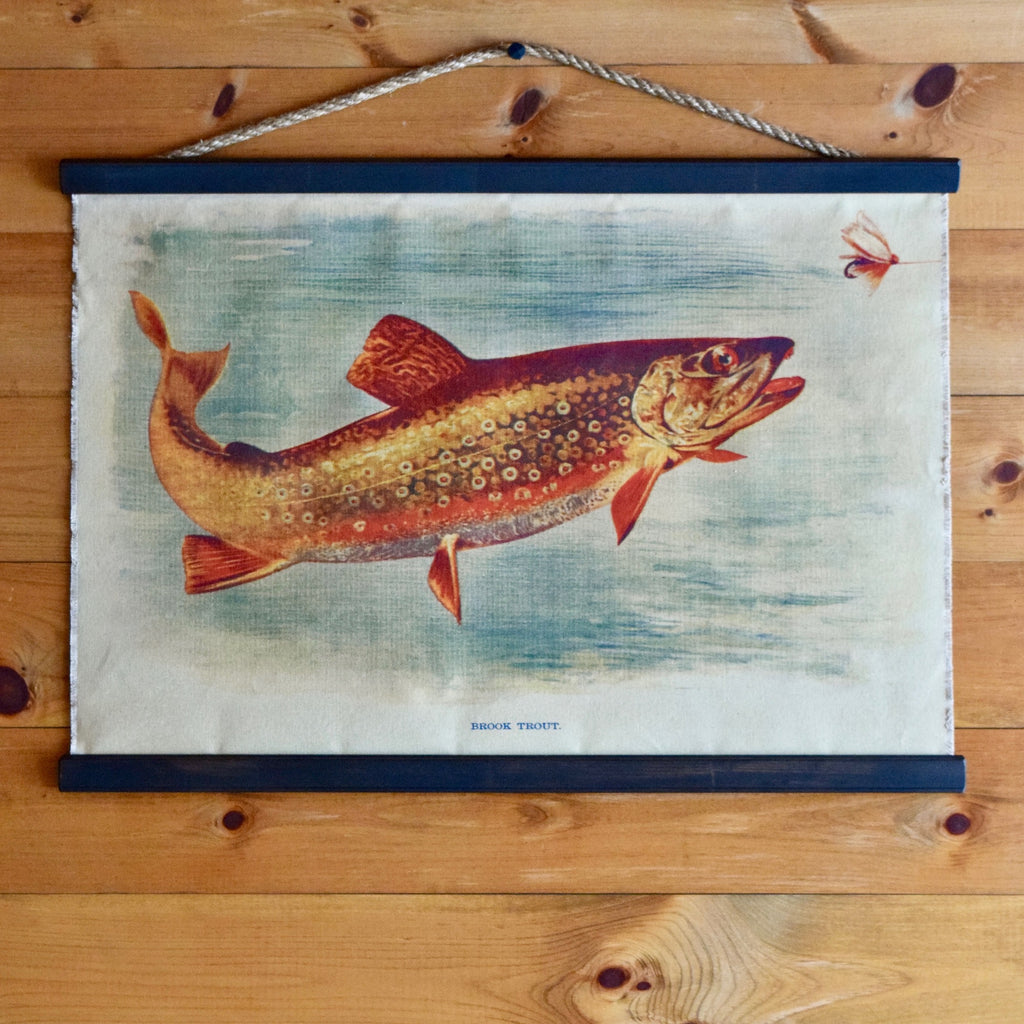 Vintage 1914 Brook Trout Illustration on Canvas Wall Chart 