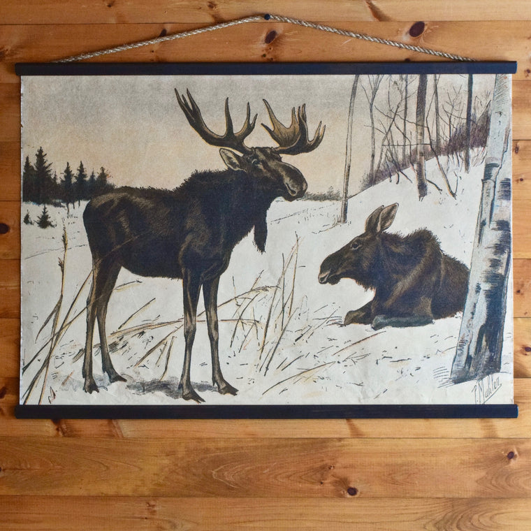 Moose Mates Wall Chart | Dartbrook Signature Collection