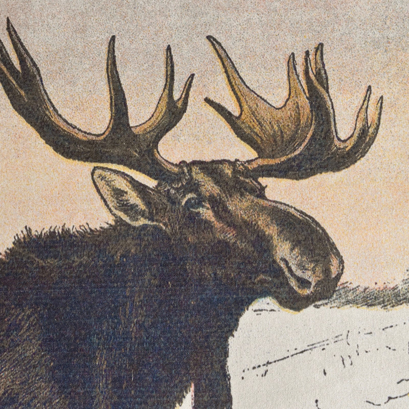 P. Mahler Chromolithograph of Moose Bull and Moose Cow in Snow in Canvas Wall Chart