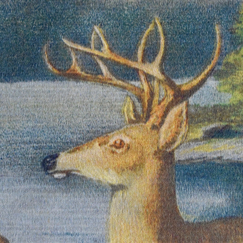 Oliver Kemp Adirondack Deer Painting Wall Chart featured in Forest Fish & Game Commission New York