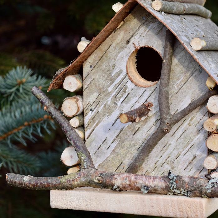 Locally-Handcrafted White Birch Birdhouse