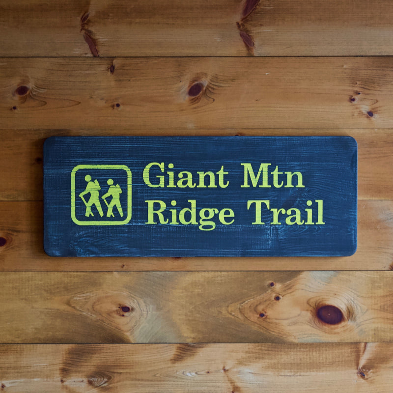 Hand Painted New York State Conservation Department Giant Mountain Ridge Trail Sign 