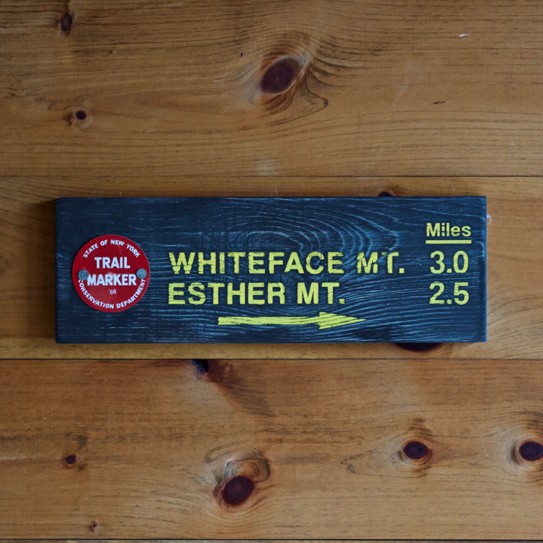 Adirondack Trail Signs