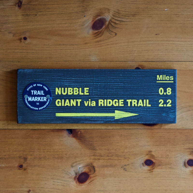 Hand Painted New York State Conservation Department Trail to Nubble Mountain Sign with Trail Marker