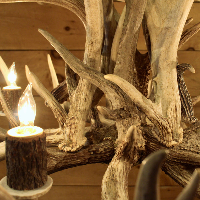 Rustic Whitetail antler chandelier 