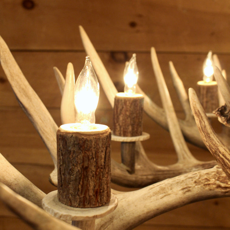 Rustic Whitetail antler chandelier 
