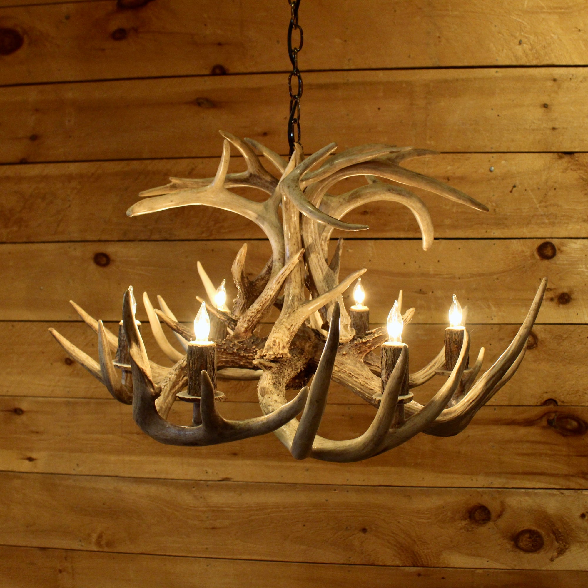 White Tail Antler Chandelier 6 Light Rustic Antler Chandelier Dartbrook Rustic Goods