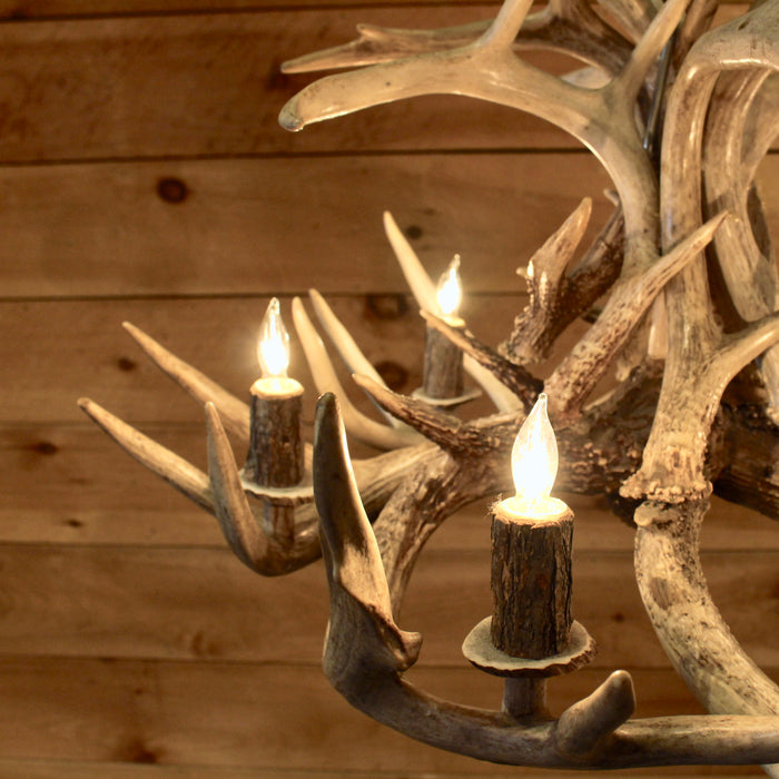Rustic Whitetail antler chandelier 