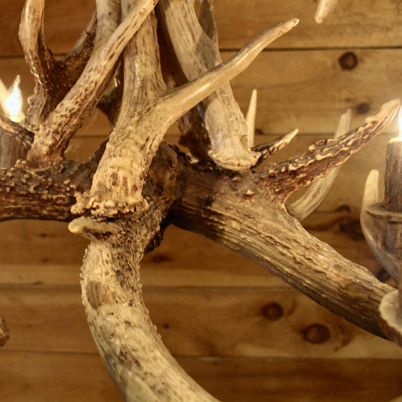 rustic Whitetail antler chandelier 