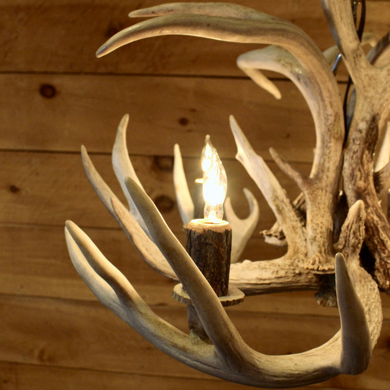 Rustic Whitetail Antler Chandelier
