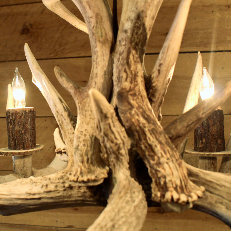 Rustic Whitetail Antler Chandelier