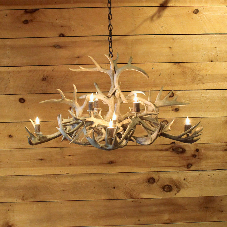 Oval Whitetail Antler Chandelier | 8-Light