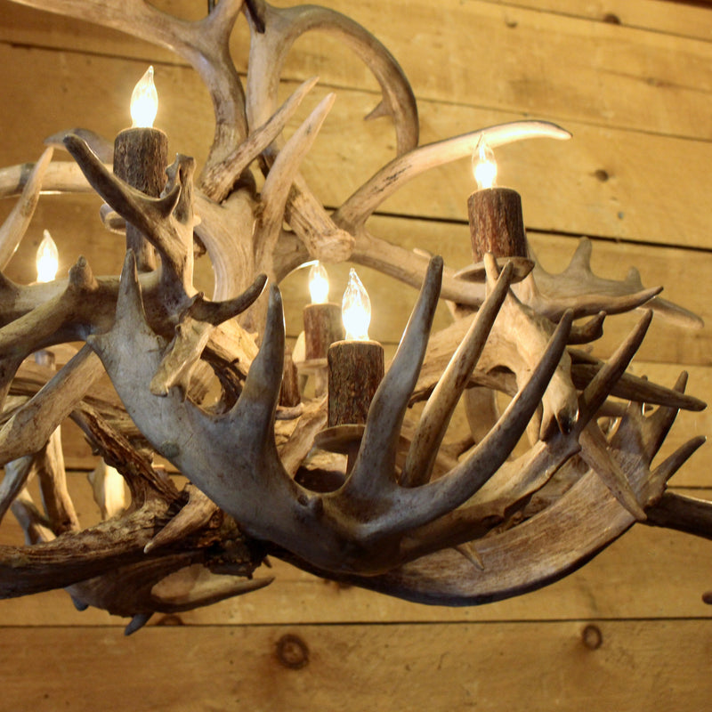 rustic whitetail antler chandelier oval