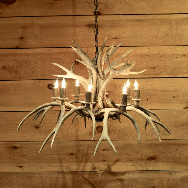 Rustic inverted whitetail antler chandelier