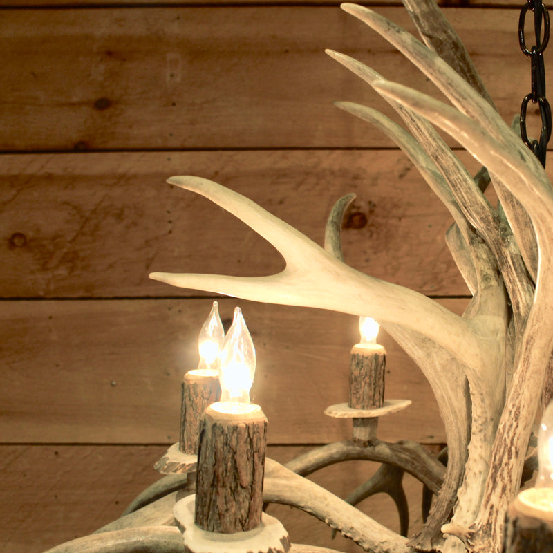 Rustic inverted whitetail antler chandelier 