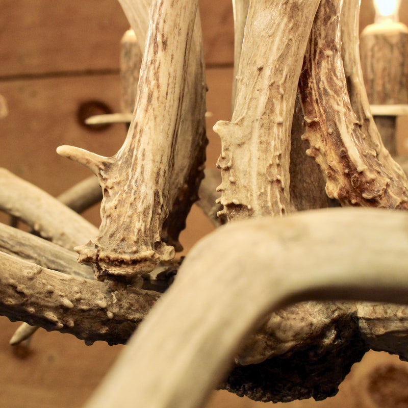 rustic inverted whitetail antler chandelier 