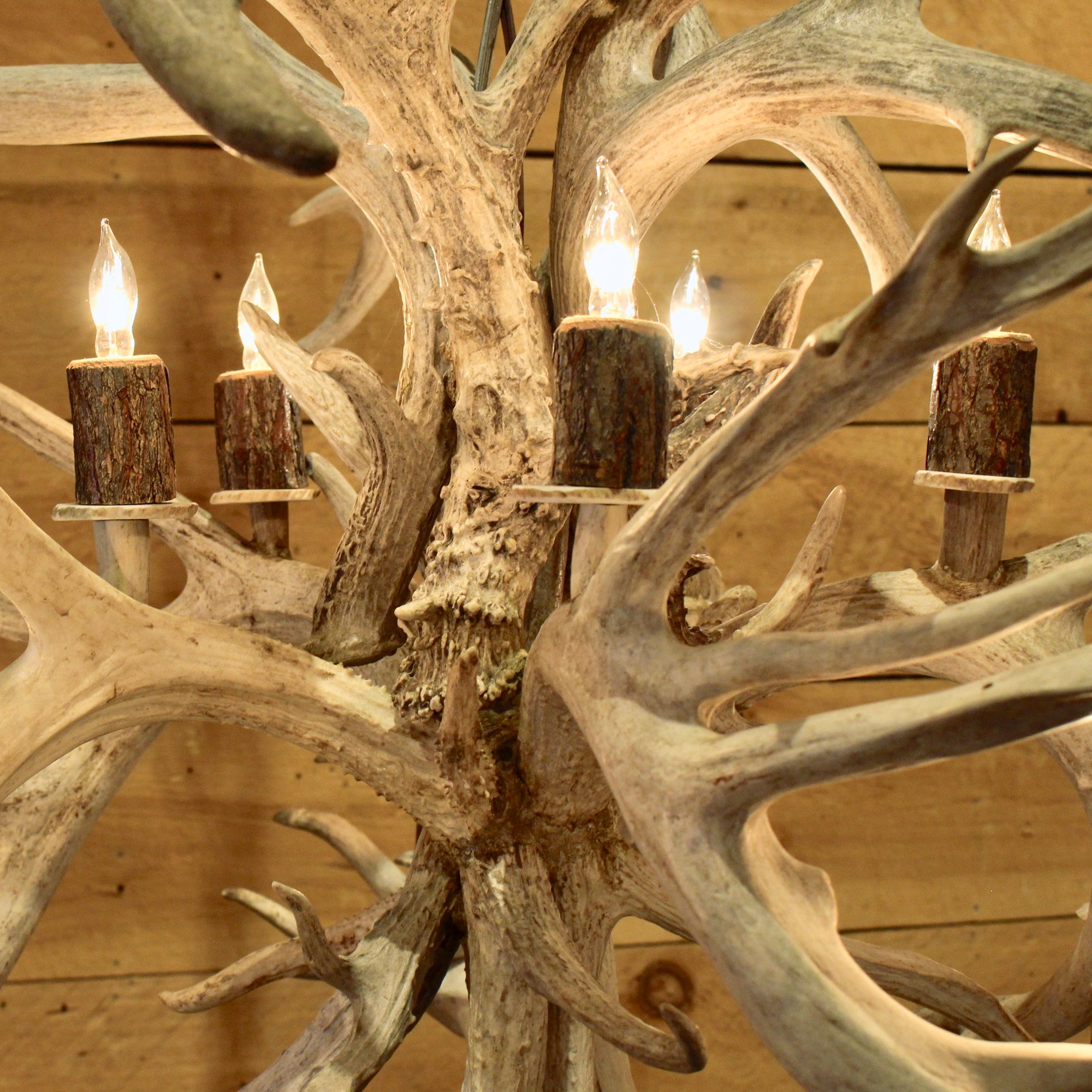 Non-Typical Whitetail Antler Globe Chandelier