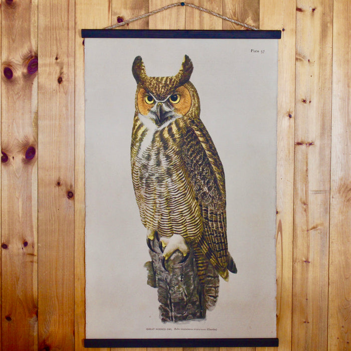 Great Horned Owl Wall CAnvas