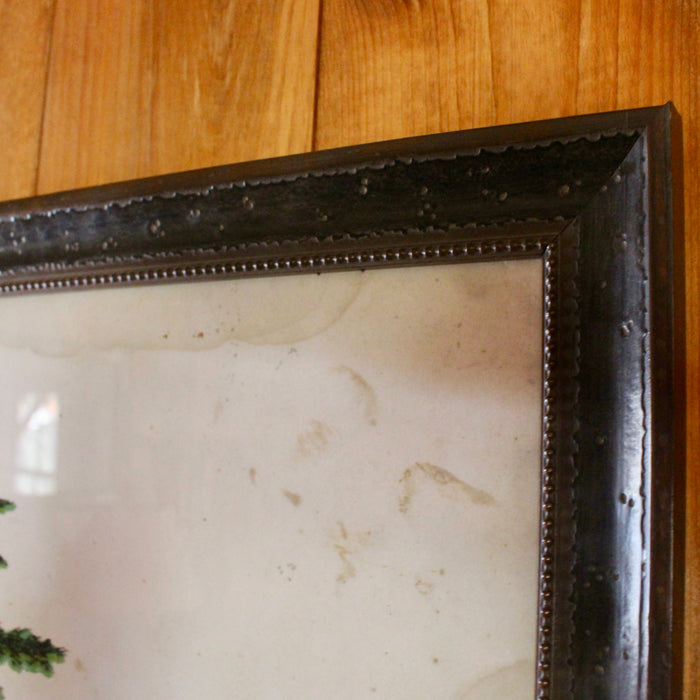 Framed Norway Spruce Print